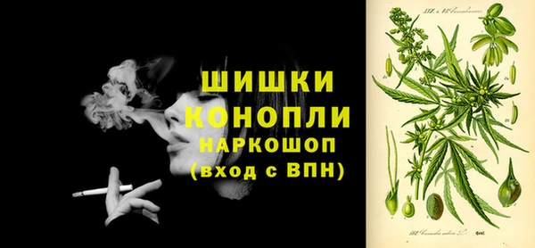ешки Дмитровск