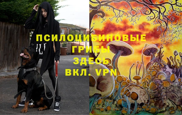 MESCALINE Дмитриев